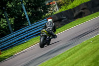 PJ-Motorsport-Photography-2020;anglesey;brands-hatch;cadwell-park;croft;donington-park;enduro-digital-images;event-digital-images;eventdigitalimages;mallory;no-limits;oulton-park;peter-wileman-photography;racing-digital-images;silverstone;snetterton;trackday-digital-images;trackday-photos;vmcc-banbury-run;welsh-2-day-enduro